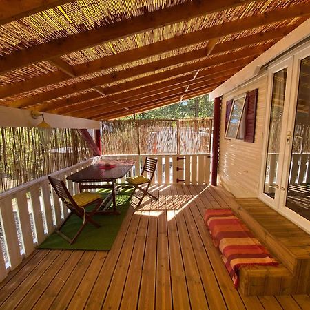 Mobil Home Au Camping Sellig Le Muy Luaran gambar